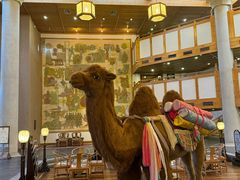 -敦煌山庄摘星阁