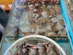 -盛华世家商业广场农贸水产综合批发市场