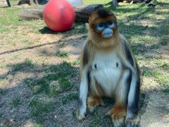 -大连森林动物园