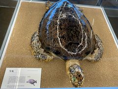 -天津古林古海岸遗迹博物馆