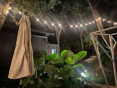 -福建鲤鱼洲酒店