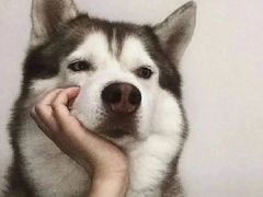 -东山茶寮(新安店)