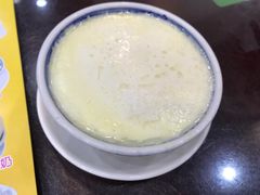 双皮奶-民信老铺(人民路店)