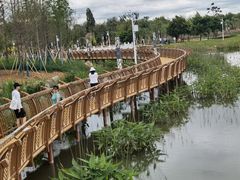 -呈贡滇池生态湿地公园