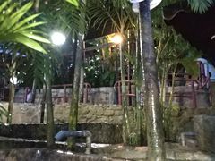 -100蛋泥浆浴