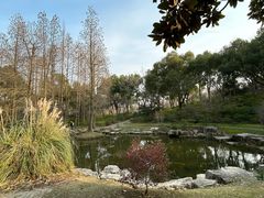 -上海滨江森林公园