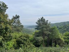 -东山风景区(洞庭东山)