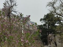 -北京凤凰岭