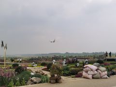 -空港花田景区
