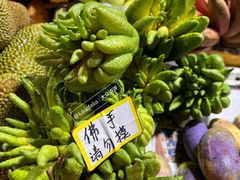 -曼阁市场水果批发市场