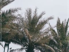 -青澳湾北回归线广场
