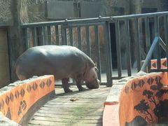 -鄂尔多斯野生动物园