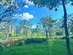 -燕晗山郊野公园