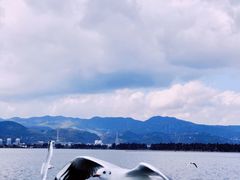 -海埂大坝