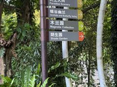 -深圳仙湖植物园