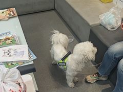 -半岛宠物医院24小时(科华中路店)