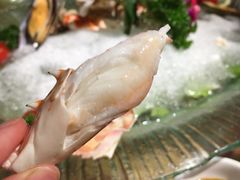 -沙田轩(古北店)