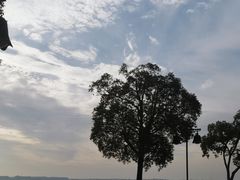 -阳澄湖半岛旅游度假区