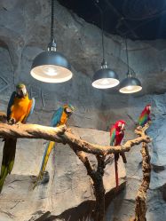 -Zoolung Zoolung动物主题公园(海信广场店)