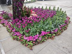 -南山植物园