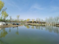-东郊湿地公园