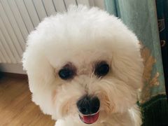 -乐琪宠物(青塔西路店)