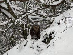 -九峰山