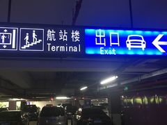 -上海浦东国际机场-T2航站楼