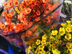 -循礼门鲜花花市(武汉循礼门店)