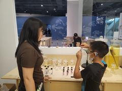 -凤凰中心