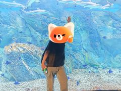 -DR·KONG江博士健康鞋(领展中心城店)