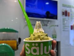 -Salud撒露欧洲冻酸奶(蓝色港湾店)