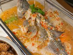 招牌柠檬鱼-佬肥猫(国华广场店)