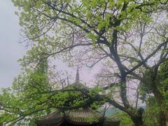 -峨眉山风景名胜区