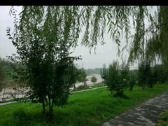 -洨河生态公园