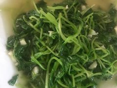 -菜当家