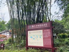 -邓小平故里