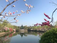 -无锡蠡湖国家湿地公园-蠡园
