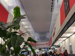 -维也纳国际机场