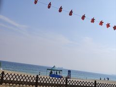 -玫瑰海岸文化旅游度假区