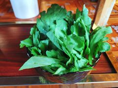 茼蒿-羊大爷涮肉(亮马桥店)