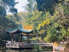-九龙公园