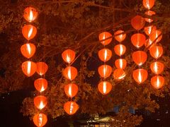 -荔湾湖公园