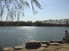 -大兴滨河森林公园