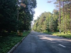-黑龙江省森林植物园