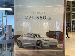 -TESLA 特斯拉(郑州正弘城体验店)