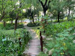 -陈家山荷花公园