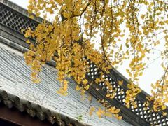 -南山风景名胜区