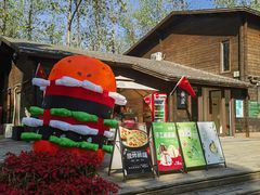 -合肥滨湖国家森林公园