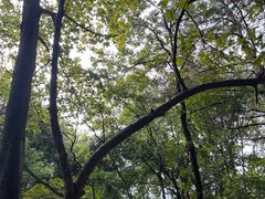 -中国花亭湖风景名胜区-西风禅寺